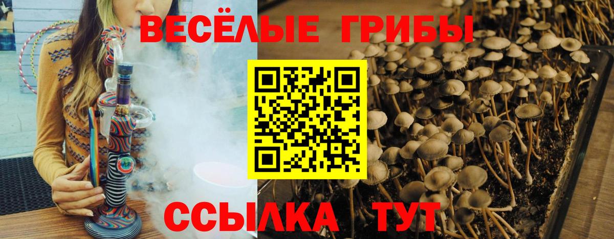 Димитровград  Галлюциногенные грибы мухоморы  Вход с VPN 