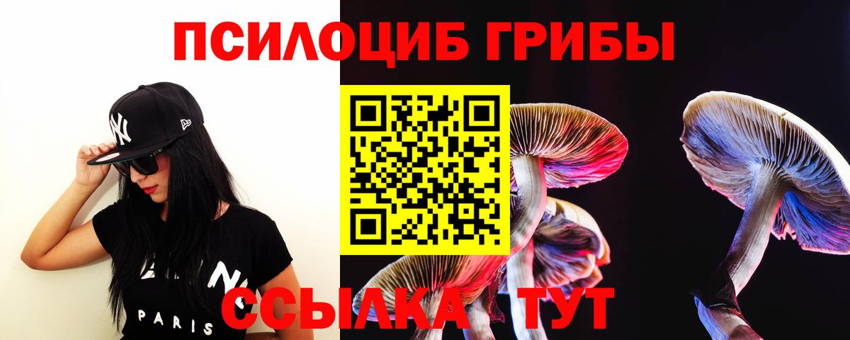 Галлюциногенные грибы GOLDEN TEACHER Димитровград